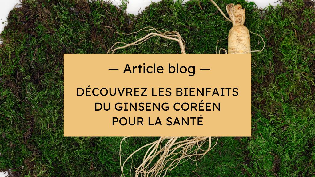 Ginseng Coréen : Votre Allié pour Renforcer Votre Immunité et Retrouver de l'Énergie