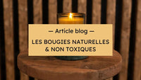Blog Hersée Paris 9