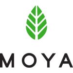 Moya Matcha