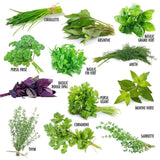 Coffret 12 sachets graines Herbes Aromatiques Radis et Capucine Hersée Paris 9