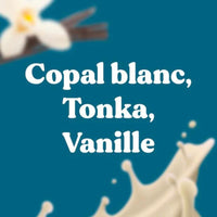 Pack 5 bâtons Encens Naturels Artisanaux Bloom Copal blanc Tonka Vanille Bluebird Bloom Hersée Paris 9