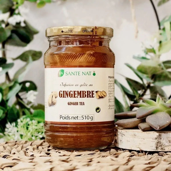 Infusion en gelée Gingembre 510g - Santé Nat