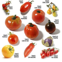 Coffret 12 sachets tomates anciennes Radis et Capucine Hersée Paris 9