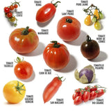 Coffret 12 sachets tomates anciennes Radis et Capucine Hersée Paris 9