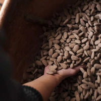 Pâte à tartiner Bio 220G Noisettes, Lait et Feuillantine - Hersée