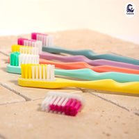 Recharge 3 têtes de brosse à dents Souple - Lamazuna Lamazuna Hersée Paris 9
