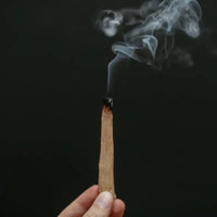 Bâton de bois à brûler - Palo Santo 