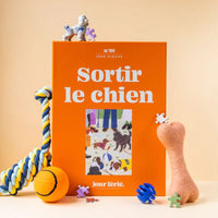 Puzzle 1000 pièces adulte Made in France - Jour Férié Jour Férié Hersée Paris 9