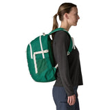 Sac à dos Refugio Daypack 26L - Patagonia Patagonia Hersée Paris 9